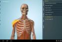 Anatomy 3D Pro - Anatronica screenshot 10