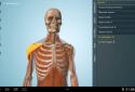 Anatomy 3D Pro - Anatronica screenshot 2