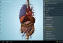 Anatomy 3D Pro - Anatronica screenshot 3
