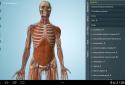 Anatomy 3D Pro - Anatronica screenshot 5
