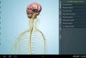 Anatomy 3D Pro - Anatronica screenshot 6