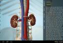 Anatomy 3D Pro - Anatronica screenshot 7