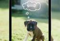 Aviary Photo Editor screenshot 4