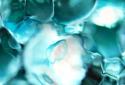 Water Drop Live Wallpaper screenshot 5