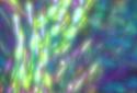 Electric Sheep screenshot 4