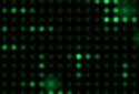 Radiant Motion screenshot 2