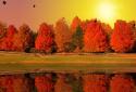 Autumn Lake Live Wallpaper screenshot 1