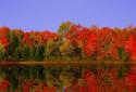 Autumn Lake Live Wallpaper screenshot 2