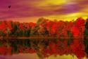 Autumn Lake Live Wallpaper screenshot 7