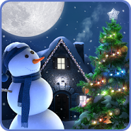 Winter Moon Night