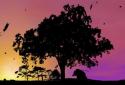 Autumn Trees Live Wallpaper screenshot 2