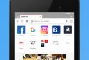 Opera Browser screenshot 19