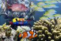 The real aquarium LWP screenshot 11
