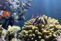 The real aquarium LWP screenshot 6