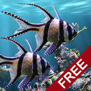 The real aquarium LWP