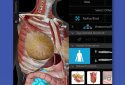 Human Anatomy Atlas screenshot 2