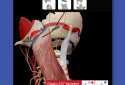 Human Anatomy Atlas screenshot 4