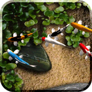 Koi Live Wallpaper Koi Live Wallpaper