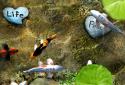 Koi Live Wallpaper screenshot 2 Koi Live Wallpaper screenshot 2