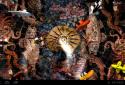 Koi Live Wallpaper screenshot 6 Koi Live Wallpaper screenshot 6