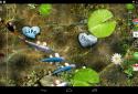 Koi Live Wallpaper screenshot 9 Koi Live Wallpaper screenshot 9