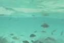 Lagoon Waves HD screenshot 11