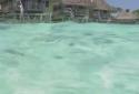 Lagoon Waves HD screenshot 8