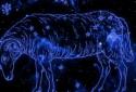 Horoscope Zodiac 12 Sign Live Wallpaper screenshot 4