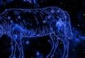 Horoscope Zodiac 12 Sign Live Wallpaper screenshot 5
