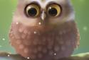 Little Owl screenshot 1 Little Owl screenshot 1