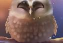 Little Owl screenshot 4 Little Owl screenshot 4