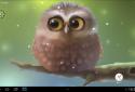 Little Owl screenshot 7 Little Owl screenshot 7