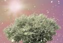 Spring Trees Live Wallpaper screenshot 4