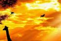African Sunset LiveWallpaper screenshot 2