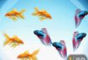 My Fish Bowl Live Aquarium screenshot 3