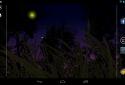 Fireflies Live Wallpaper screenshot 6