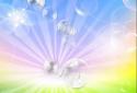 Colored bubbles LWP screenshot 3