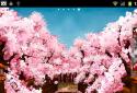 Sakura's Bridge Live Wallpaper screenshot 4