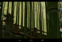 Bamboo grove 3D screenshot 3 Bamboo grove 3D screenshot 3