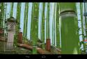 Bamboo grove 3D screenshot 4 Bamboo grove 3D screenshot 4