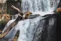 Beautiful Waterfall Live HD screenshot 1