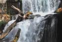 Beautiful Waterfall Live HD screenshot 2