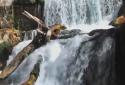 Beautiful Waterfall Live HD screenshot 4