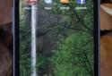 Forest Alive Video Wallpaper + (Video Wallpaper Forest +) screenshot 4