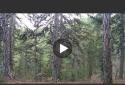 VidTrim - Video Trimmer screenshot 2