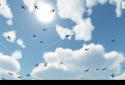Plane Finder 3D screenshot 5