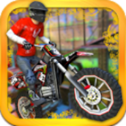 Dirt Bike Evo