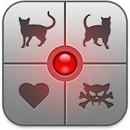 The cat