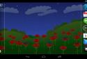 Flowers in a field of Roses screenshot 2