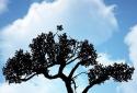 OXON L. W. Nature Free HD screenshot 1 OXON L. W. Nature Free HD screenshot 1